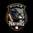 Pune Panthers-logo